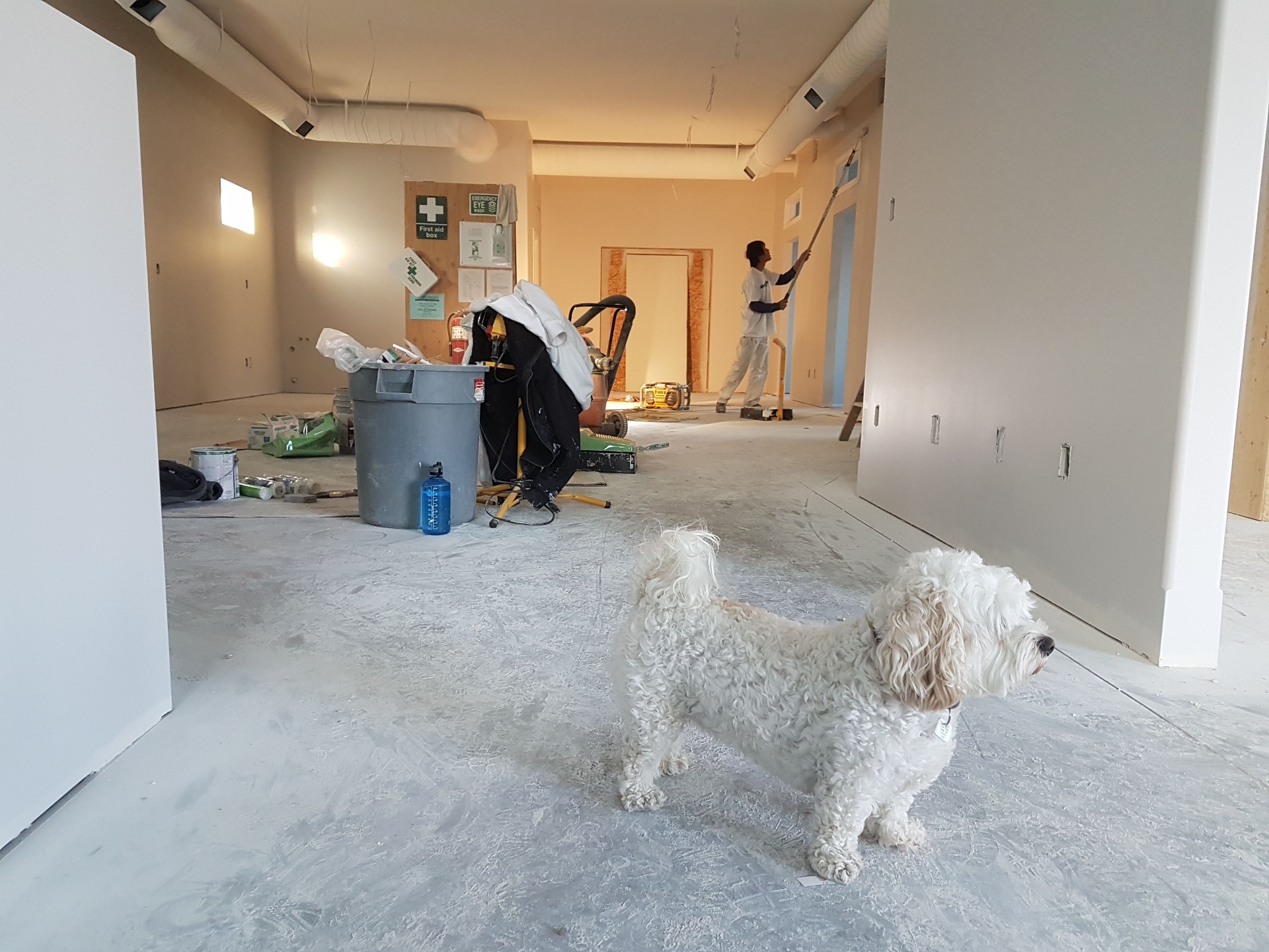 Interior renovation in progress