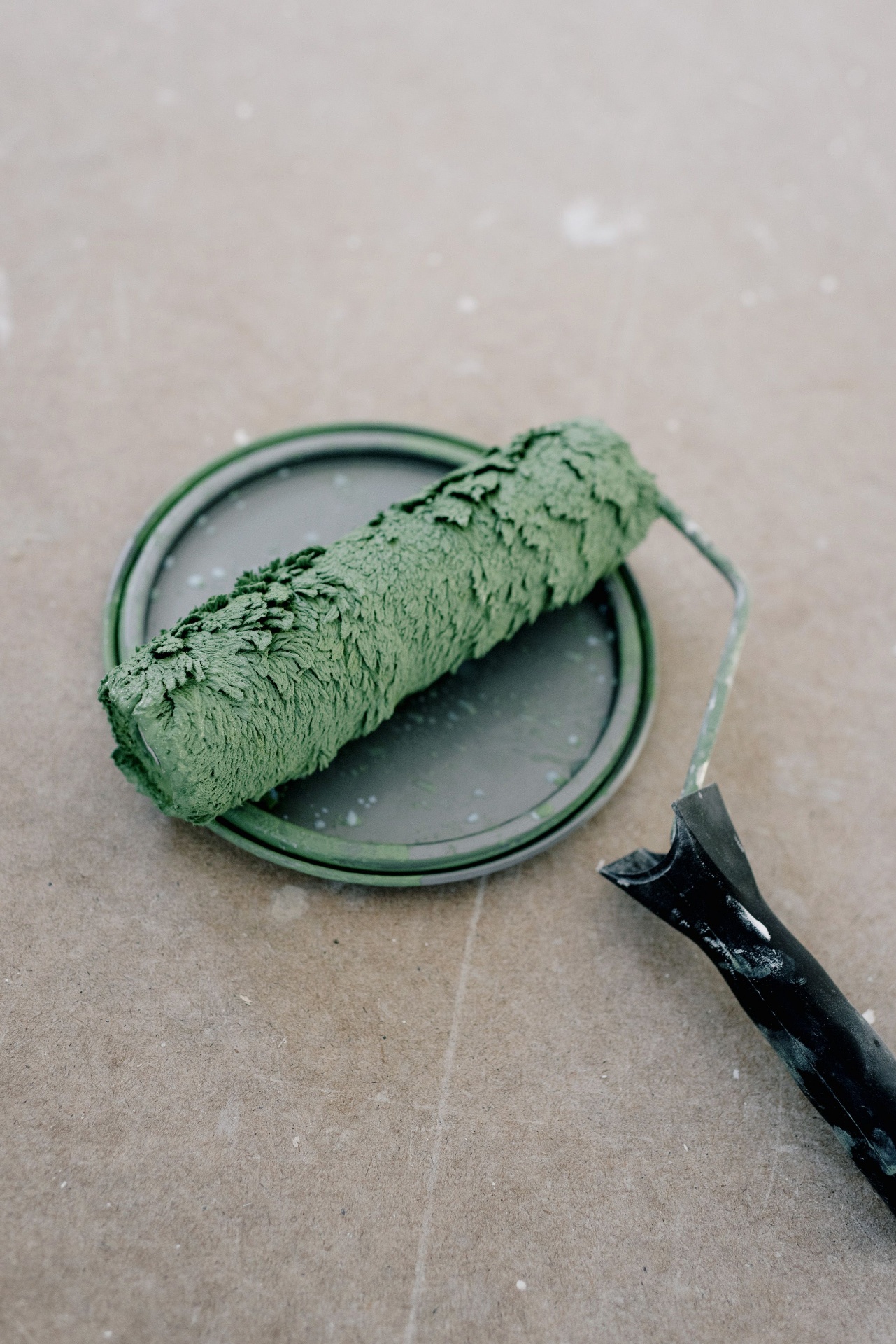 Paint roller and tray